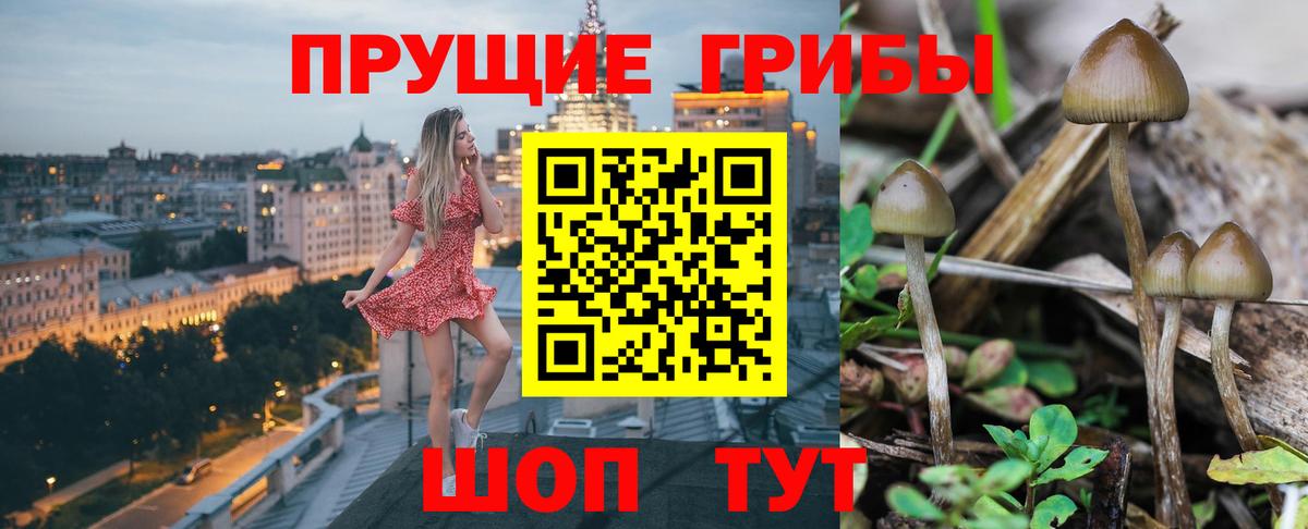 Псилоцибиновые грибы Psilocybe  купить  цена  Псилоцибиновые грибы ЛСД  Нефтеюганск  Вход с VPN 